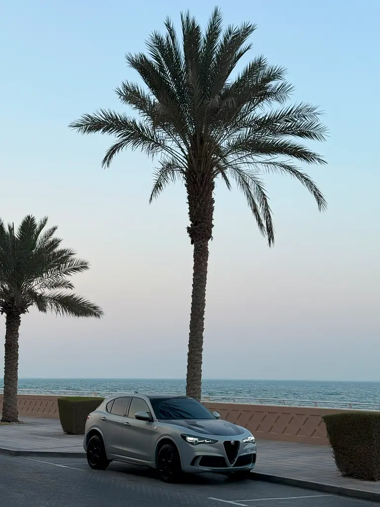 ALFA ROMEO Stelvio Quadrifoglio 2024 - photo 4 - Import Émirats | International Cars