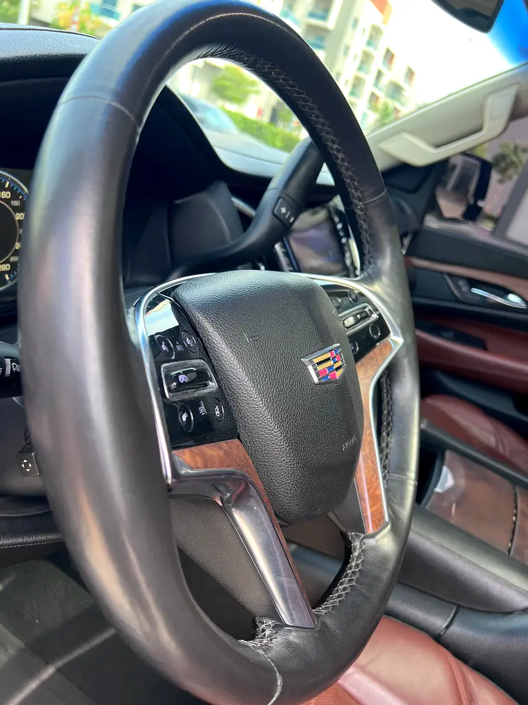 CADILLAC Escalade Platinum 2015 - photo 12 - Import Émirats | International Cars