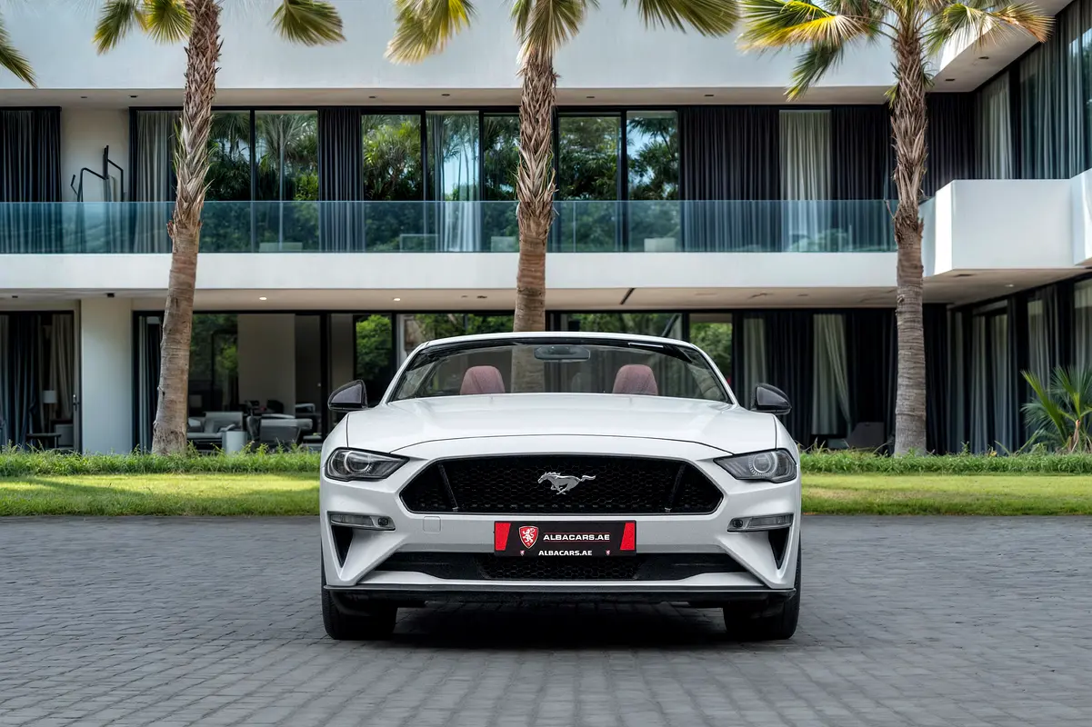 FORD Mustang GT 2019 - photo 4 - Import Émirats | International Cars