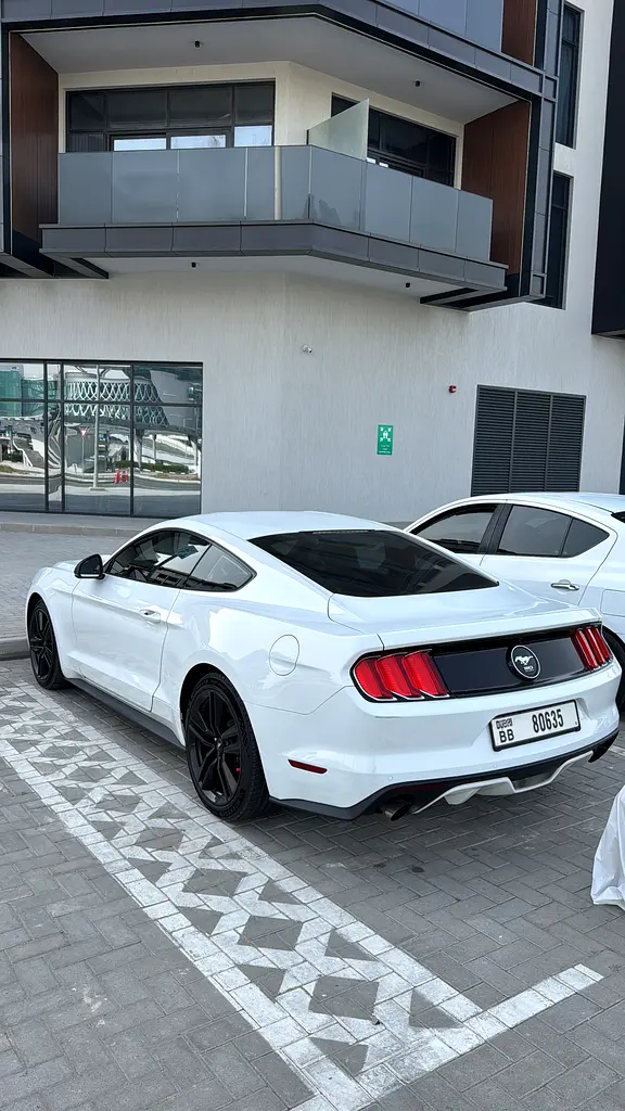 FORD Mustang 50th Anniversary Edition 2015