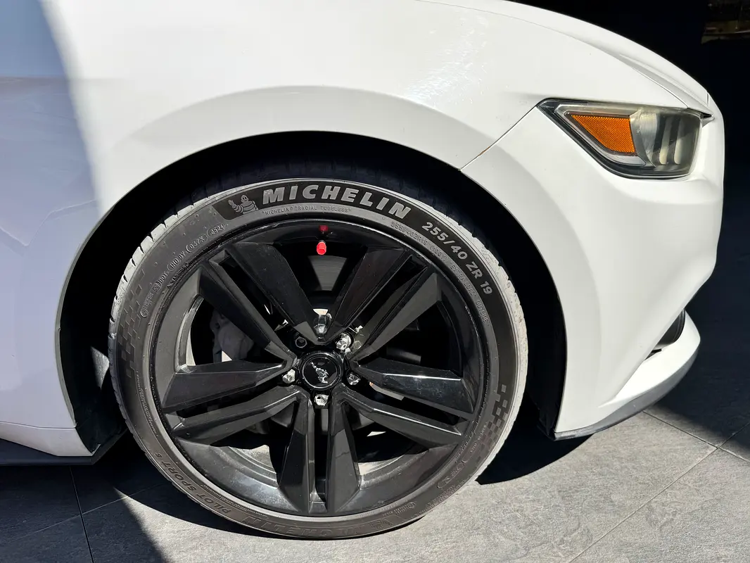 FORD Mustang 50th Anniversary Edition 2015 - photo 5 - Import Émirats | International Cars