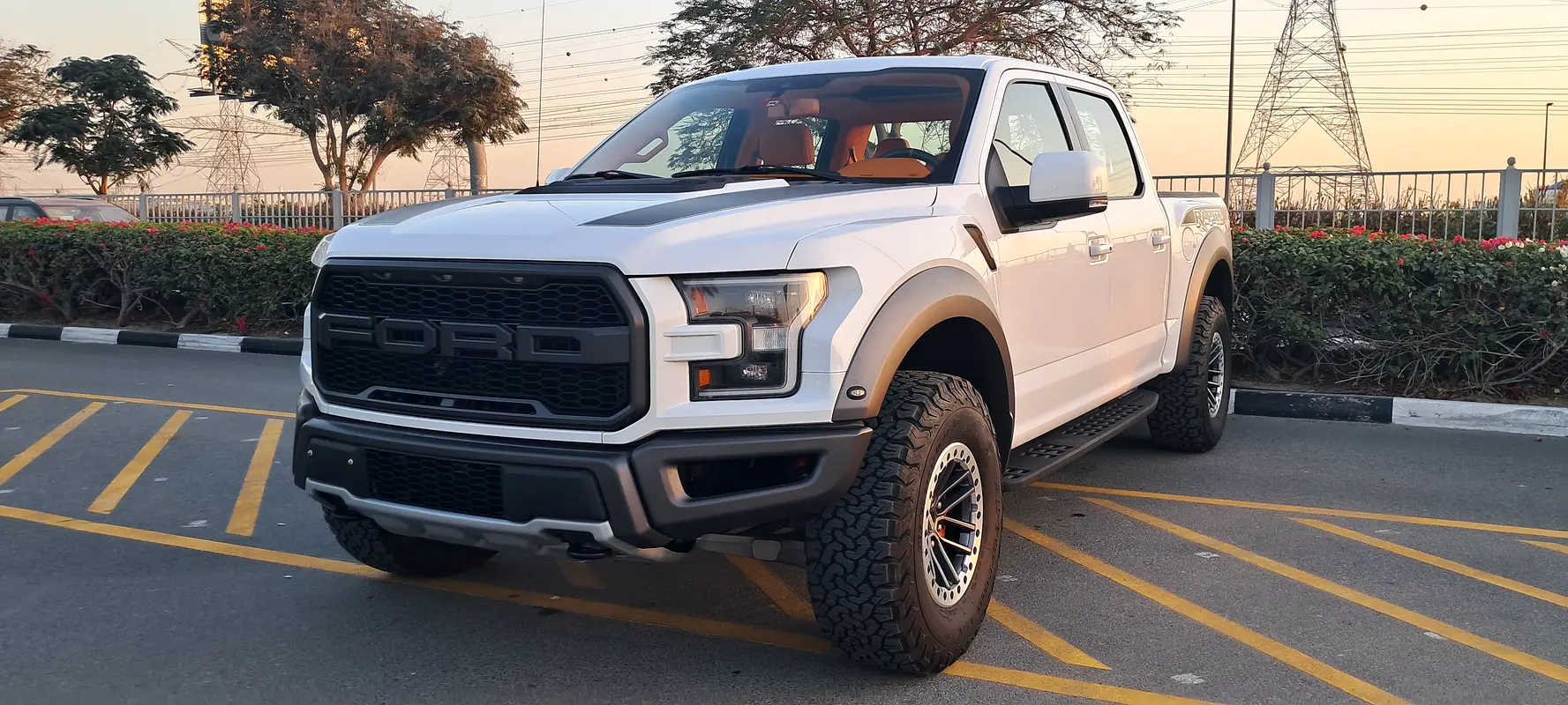 FORD F-Série Pickup Raptor 2020