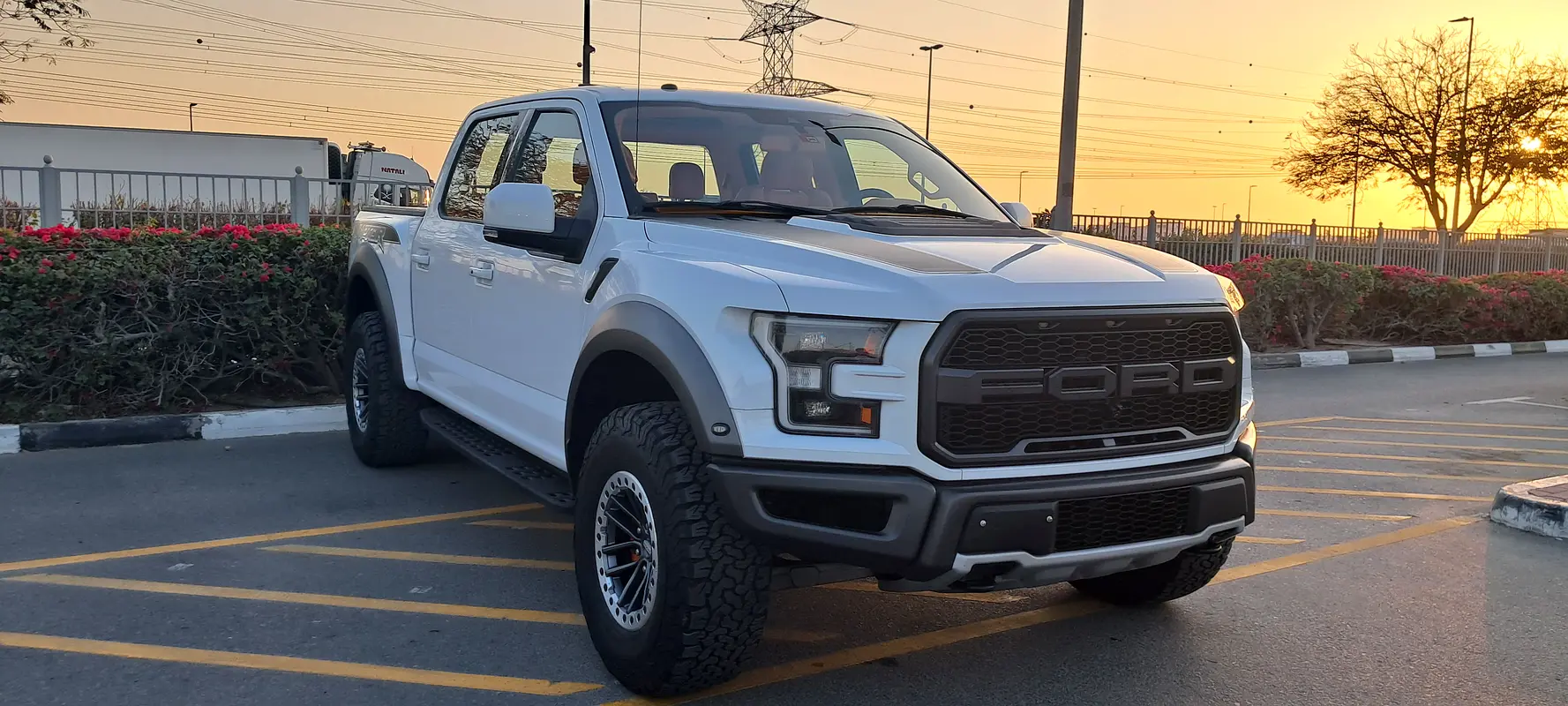 FORD F-Series Pickup Raptor 2020 - photo 2 - Import Émirats | International Cars