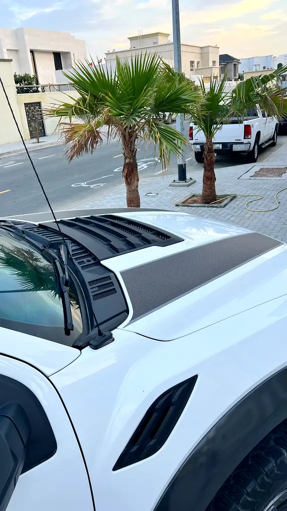 FORD F-Series Pickup Raptor 2020 - photo 5 - Import Émirats | International Cars