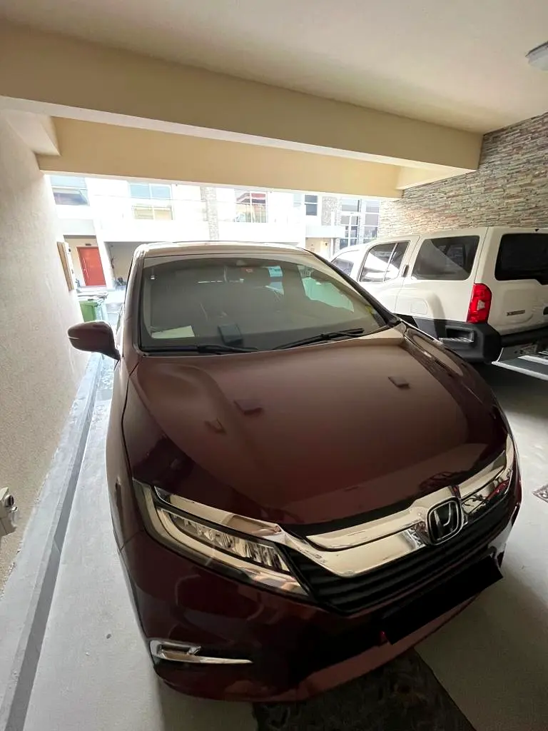 HONDA Odyssey EX 2019