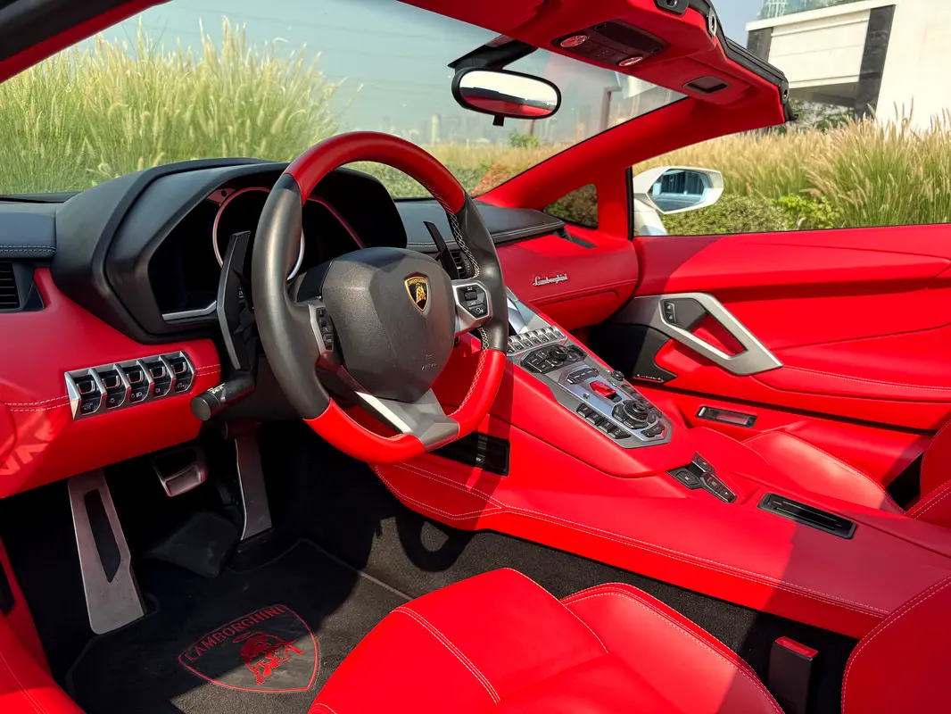 LAMBORGHINI Aventador LP 700-4 Roadster 2014 - photo 12 - Import Émirats | International Cars