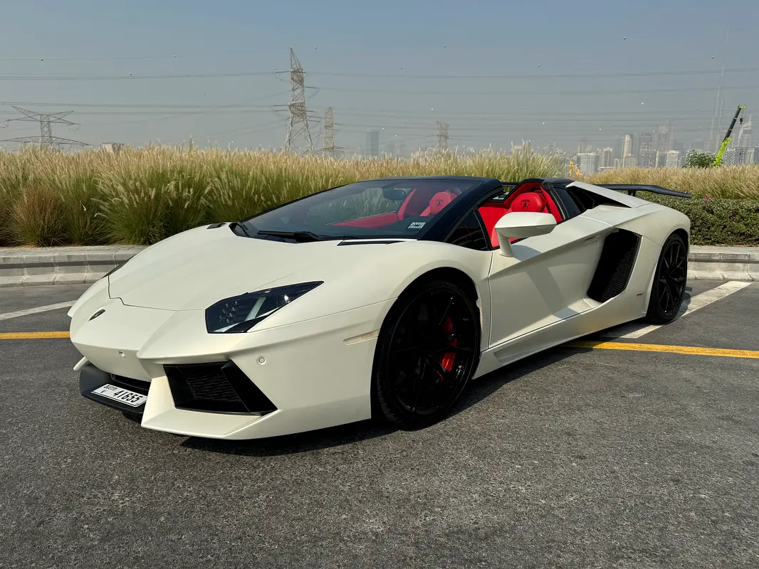 LAMBORGHINI Aventador LP 700-4 Roadster 2014 - photo 3 - Import Émirats | International Cars