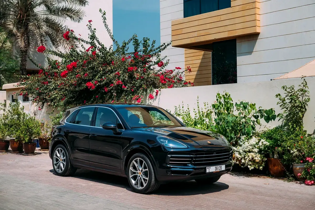 PORSCHE Cayenne Standard 2020