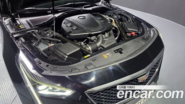 CADILLAC CT6 3.6 플래티넘 AWD 2020 - photo 6 - Import Corée du Sud | International Cars