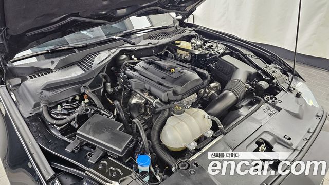 FORD 머스탱 Convertible 2023 - photo 6 - Import Corée du Sud | International Cars