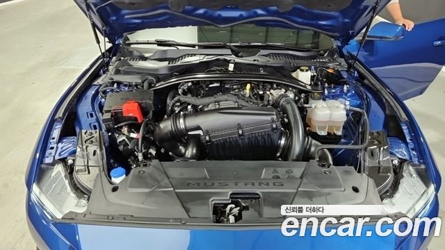 FORD 머스탱 7세대 2.3 에코부스트 Premium Coupé 2025 - photo 6 - Import Corée du Sud | International Cars