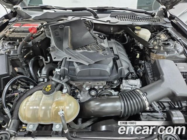 FORD 머스탱 Convertible 2017 - photo 14 - Import Corée du Sud | International Cars