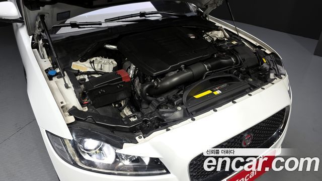 JAGUAR XF (X260) 25t 프레스티지 2018 - photo 6 - Import Corée du Sud | International Cars