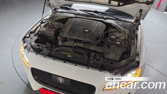JAGUAR XF (X260) 20d 체커드 플래그 Edition 2020 - photo 5 - Import Corée du Sud | International Cars
