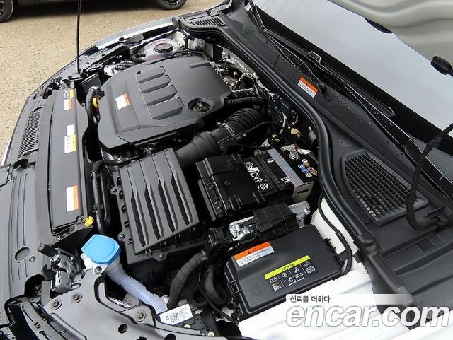 VOLKSWAGEN 골프 8세대 2.0 TDI 프레스티지 2026 - photo 19 - Import Corée du Sud | International Cars