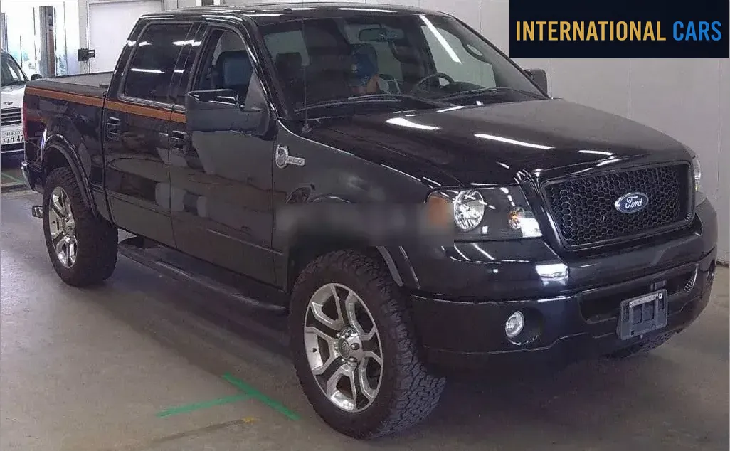 FORD F-150 4D 4WD OTHERS